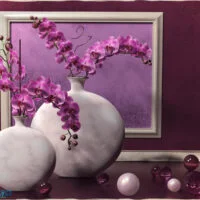 Orchid Zen