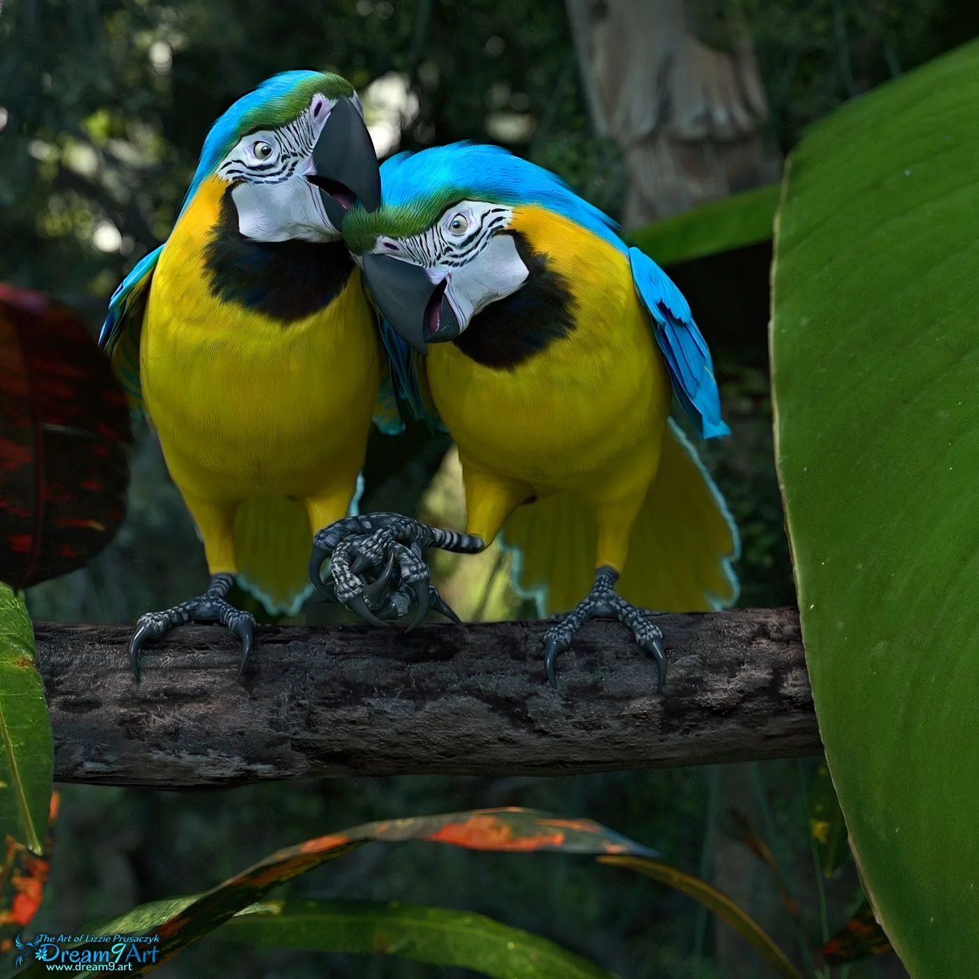 Loving Birds