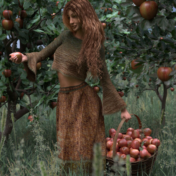 Apple Harvest
