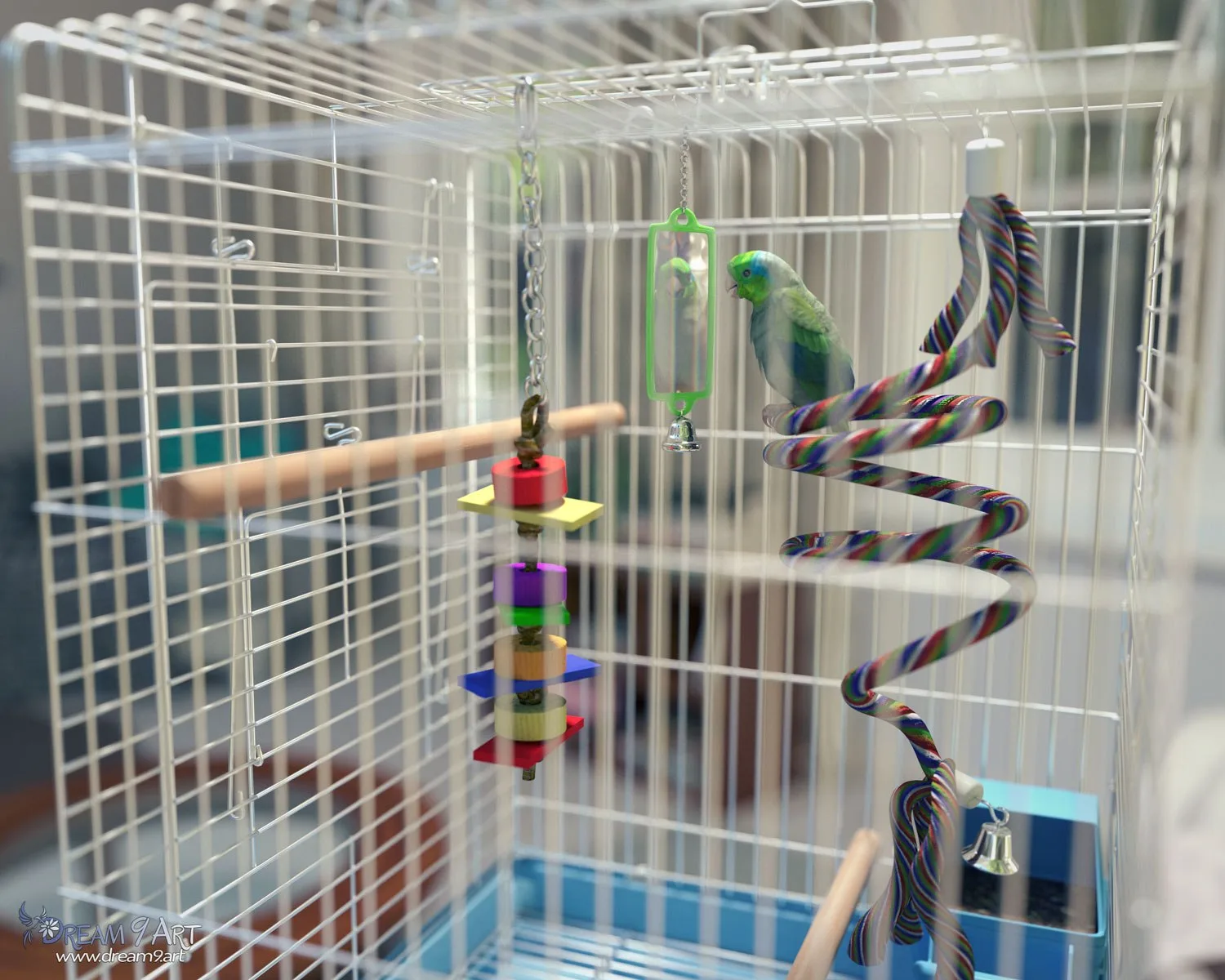 Austin's a Pretty Bird