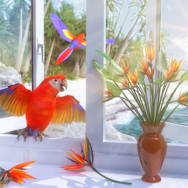 Birds of Paradise