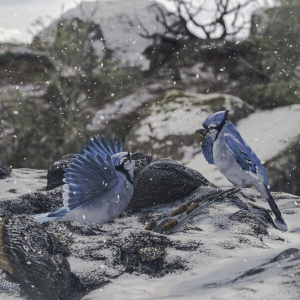 Leave My Nuts Alone