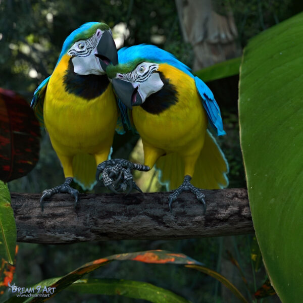 Loving Birds