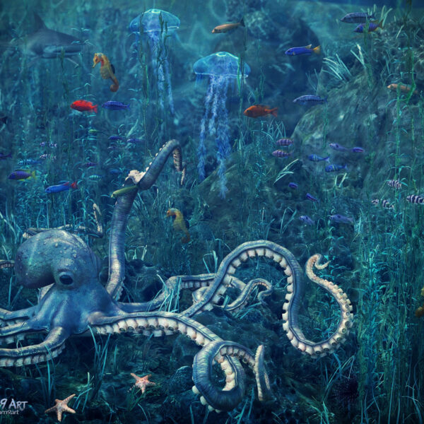 Octopus Garden