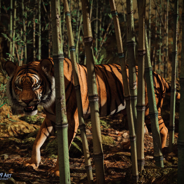 On the Prowl