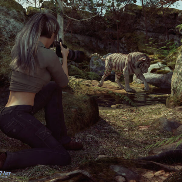 The Perfect Shot