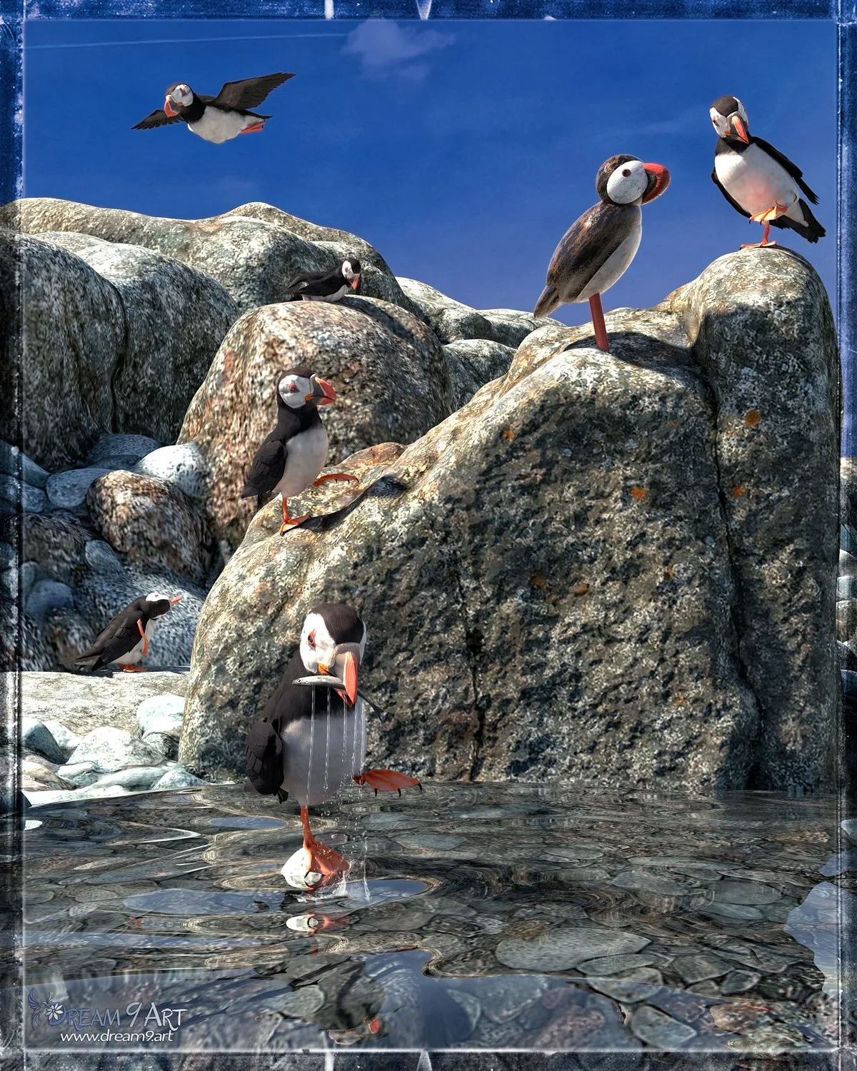 Puffin See, Puffin Do