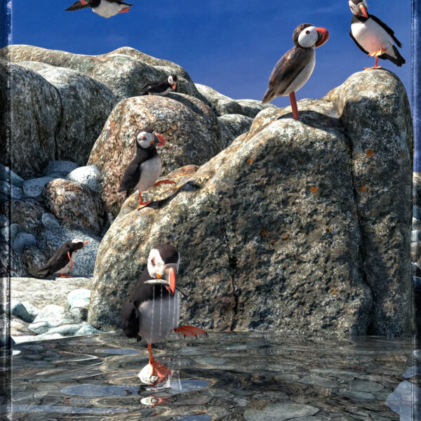 Puffin See, Puffin Do